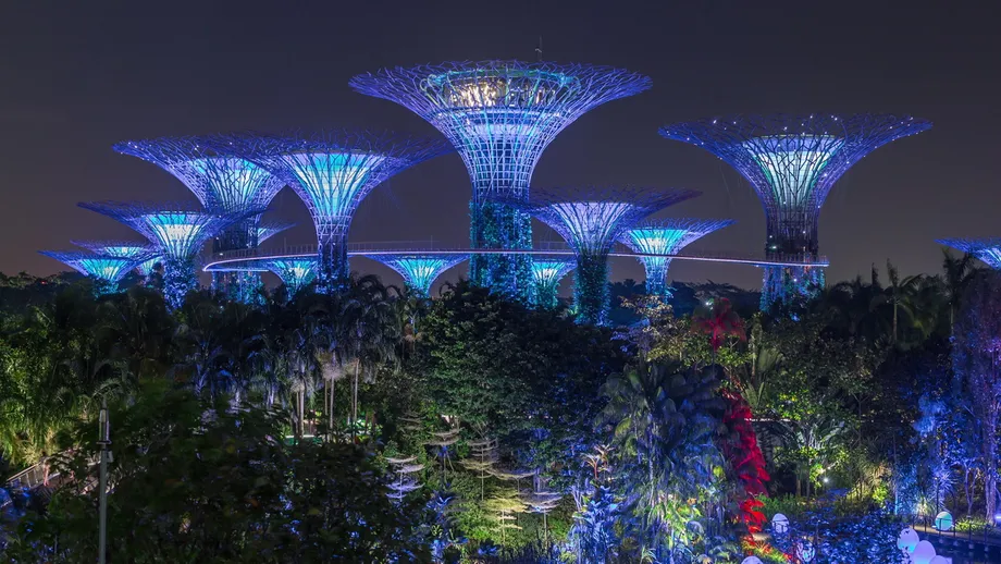 Singapore welcomes the 25th World Congress of Dermatology